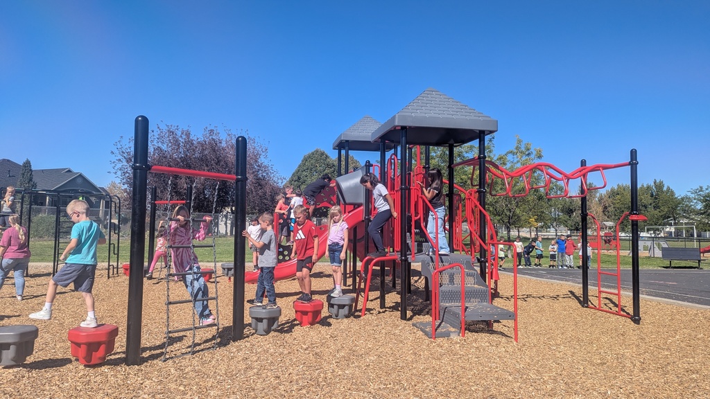 colt care activity