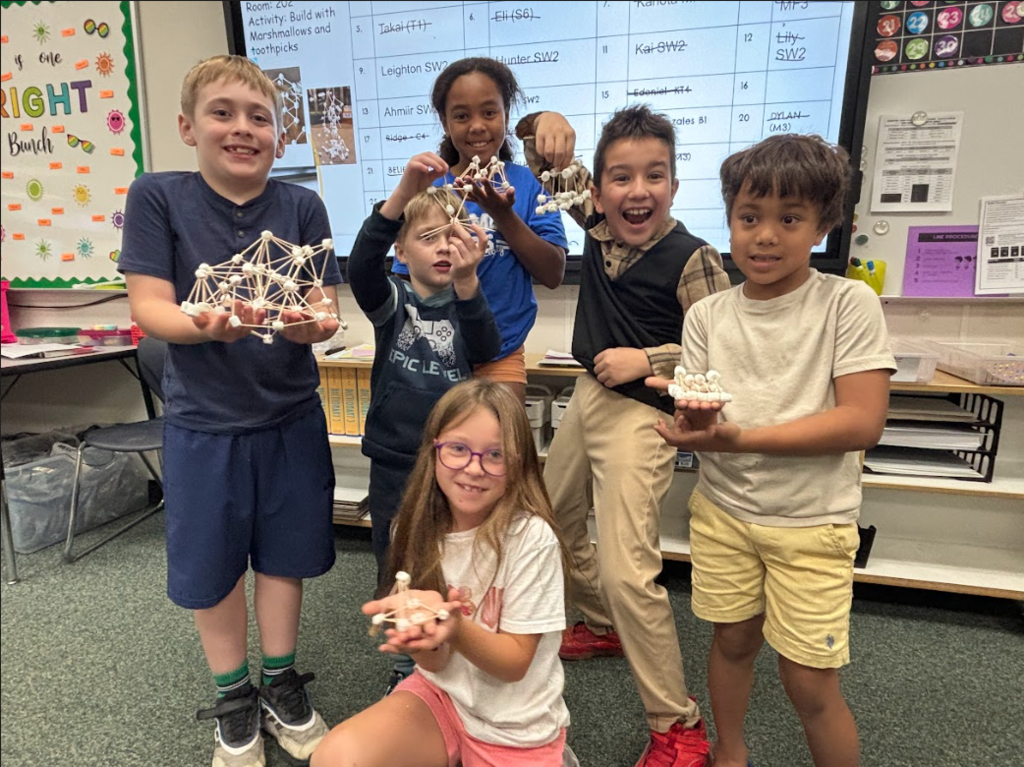 colt care activity