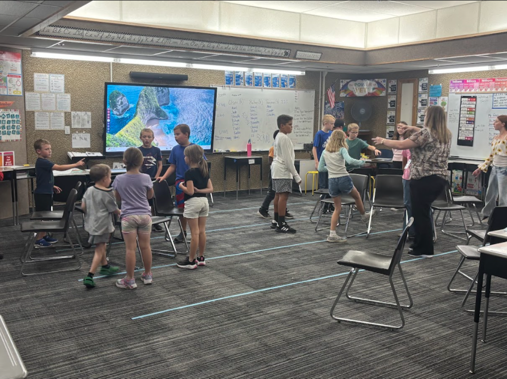 colt care activity