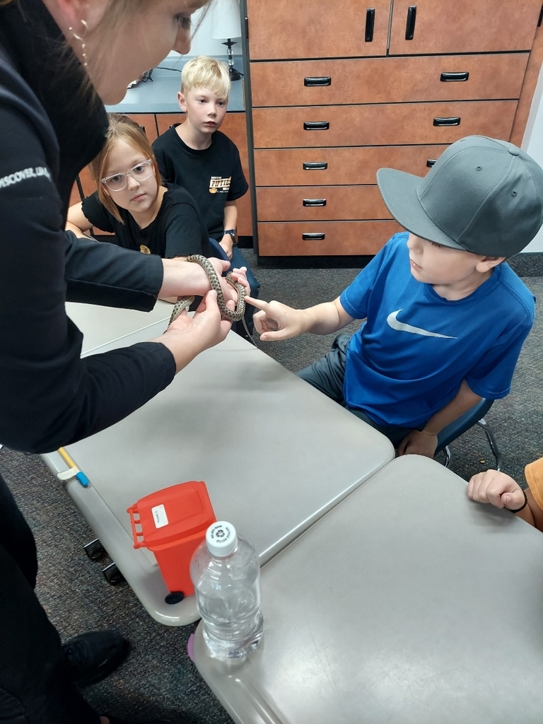 Students enjoying the Loveland Living planet aquarium snake that came to visit their classroom