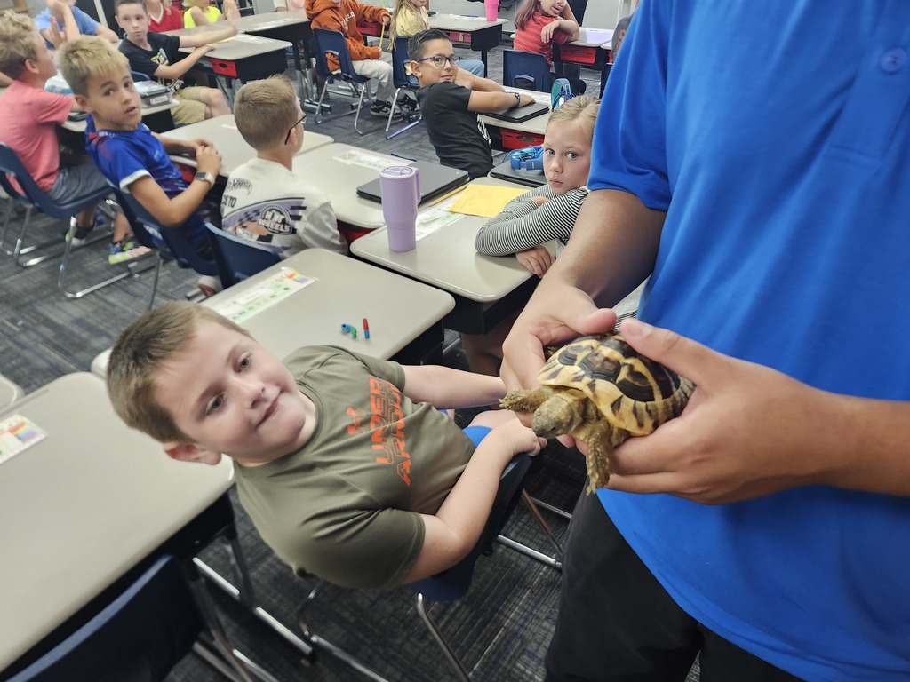 Students enjoying the Loveland Living planet aquarium Turtle that came to visit their classroom