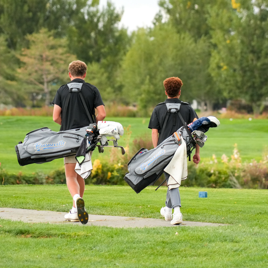 High school boys golfers