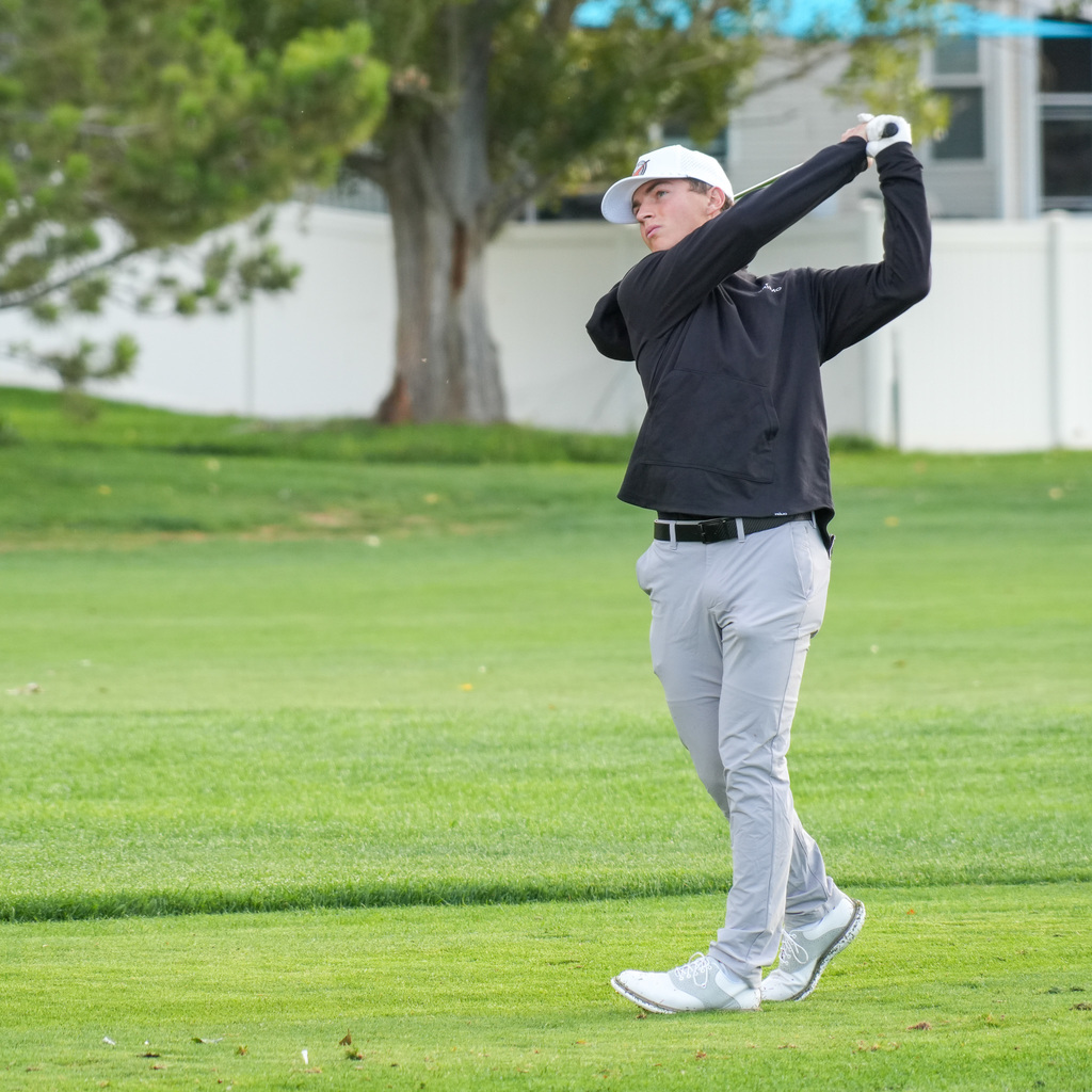 High school boys golfers