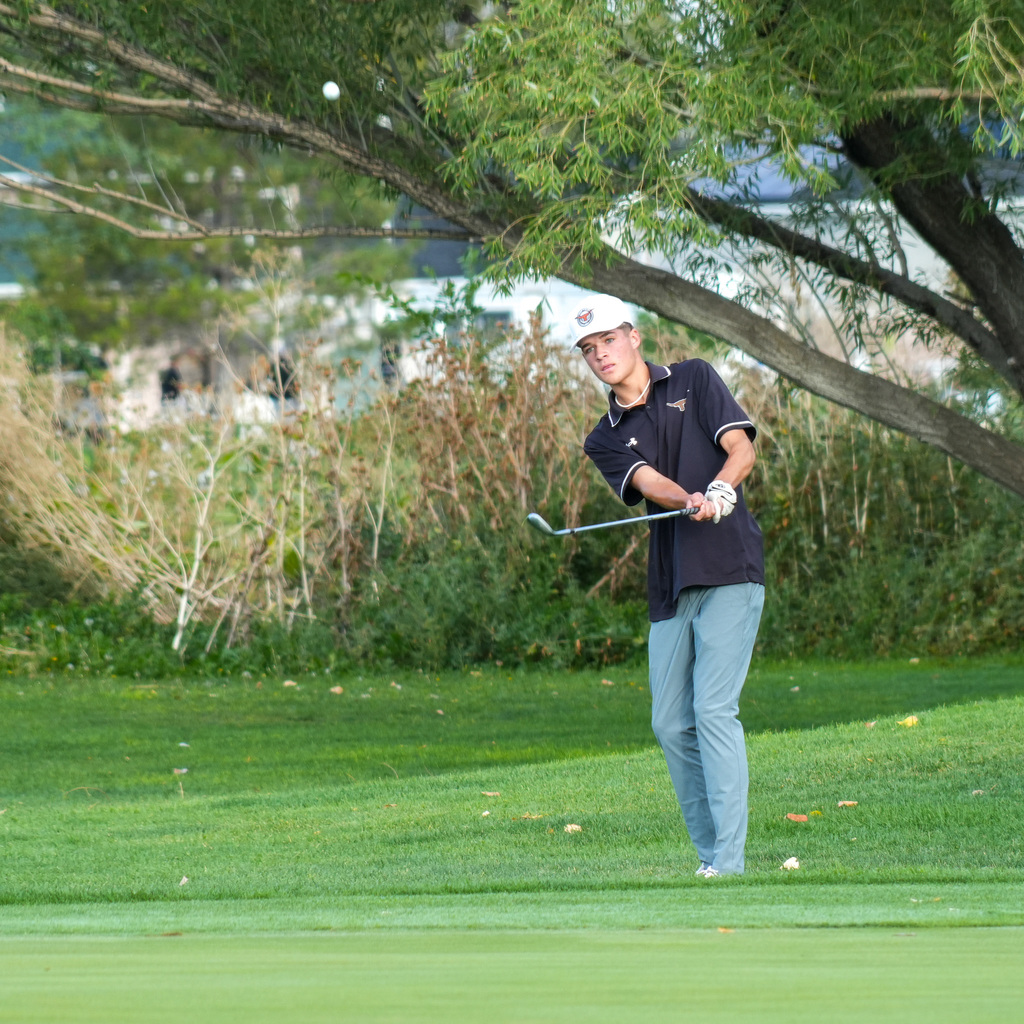 High school boys golfers