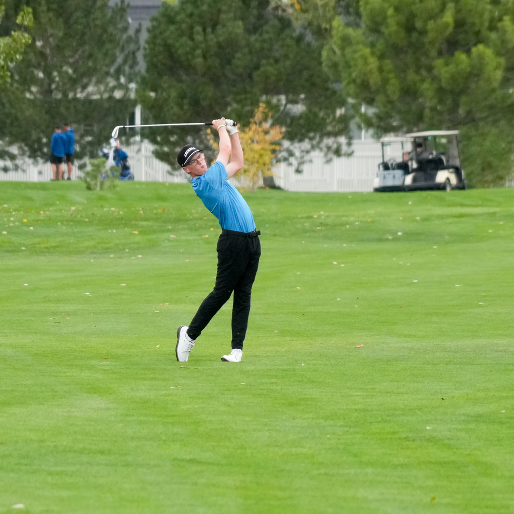 High school boys golfers