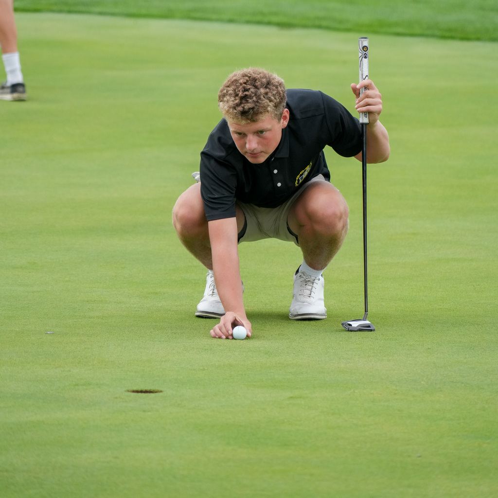 High school boys golfers