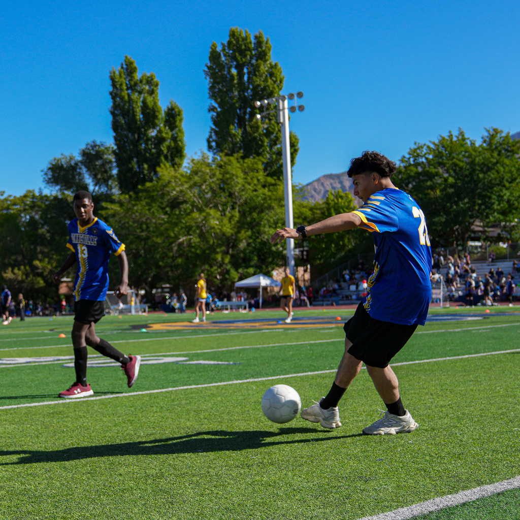 Unified soccer players