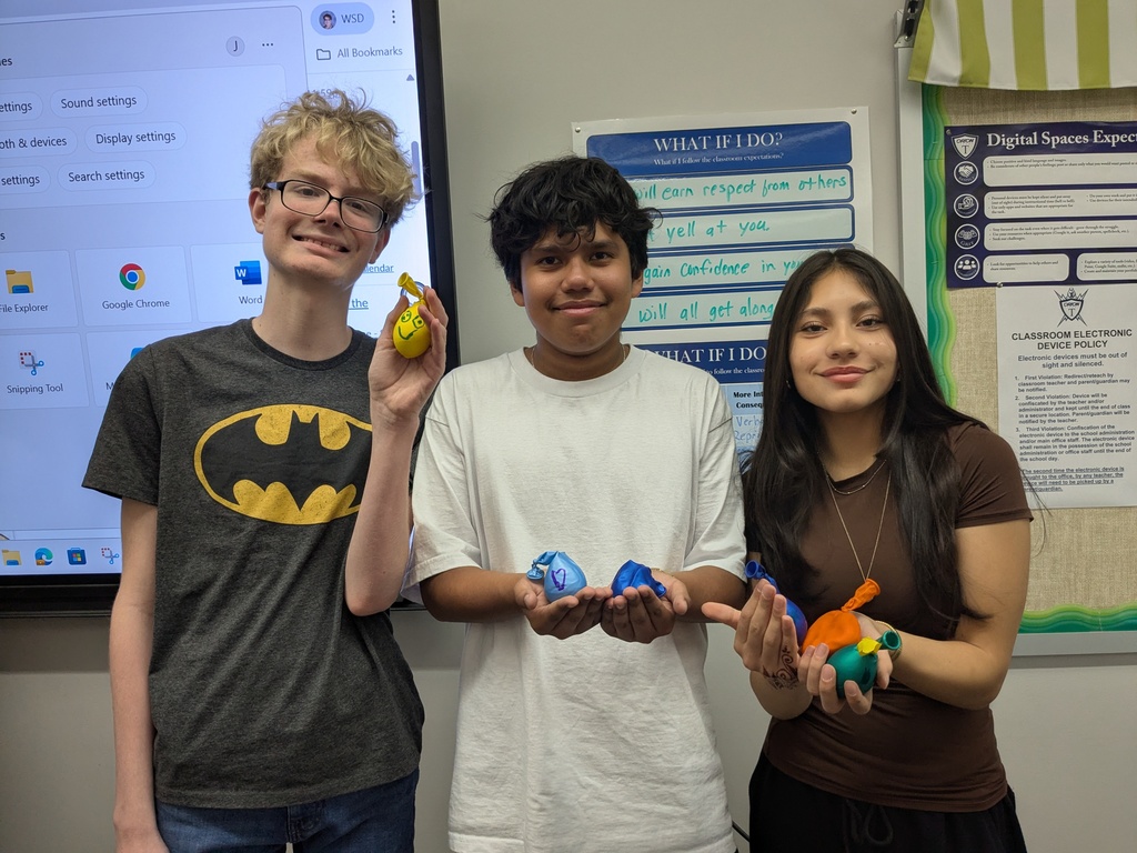 Mrs. Lee's TAP Class (Teaching As a Profession) made stress balls