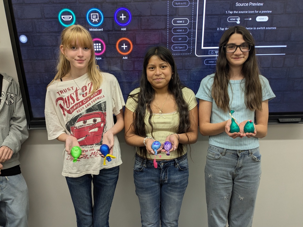 Mrs. Lee's TAP Class (Teaching As a Profession) made stress balls