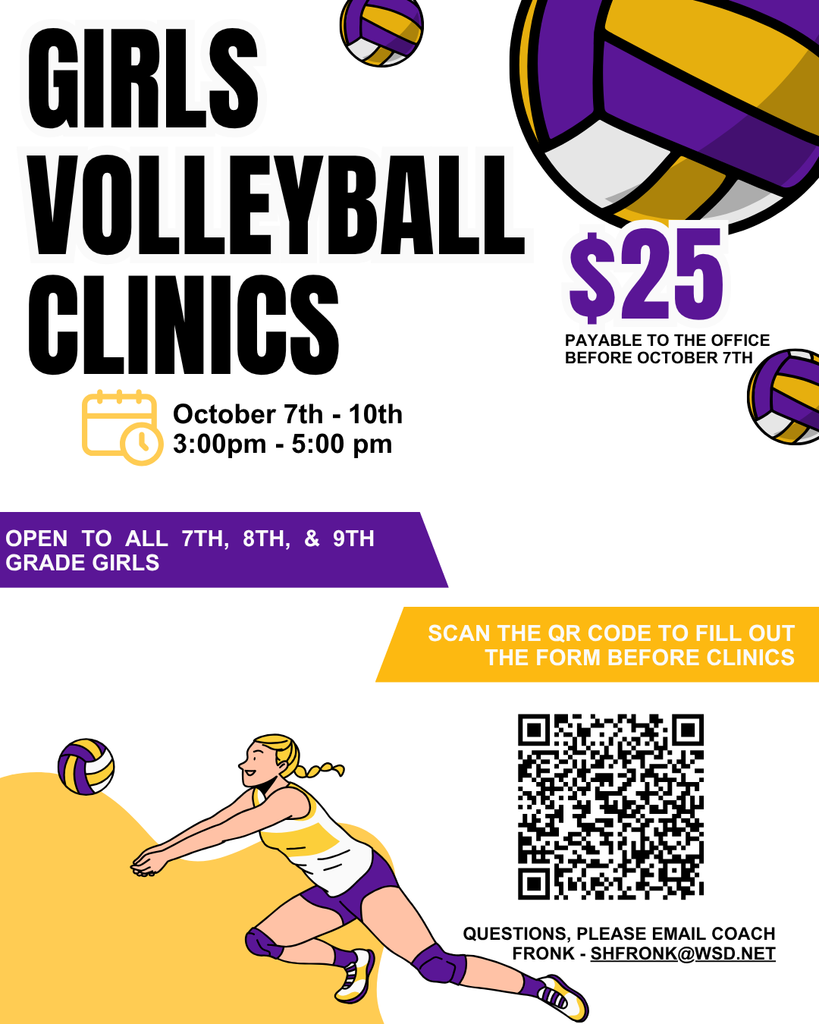 volleyball clinics