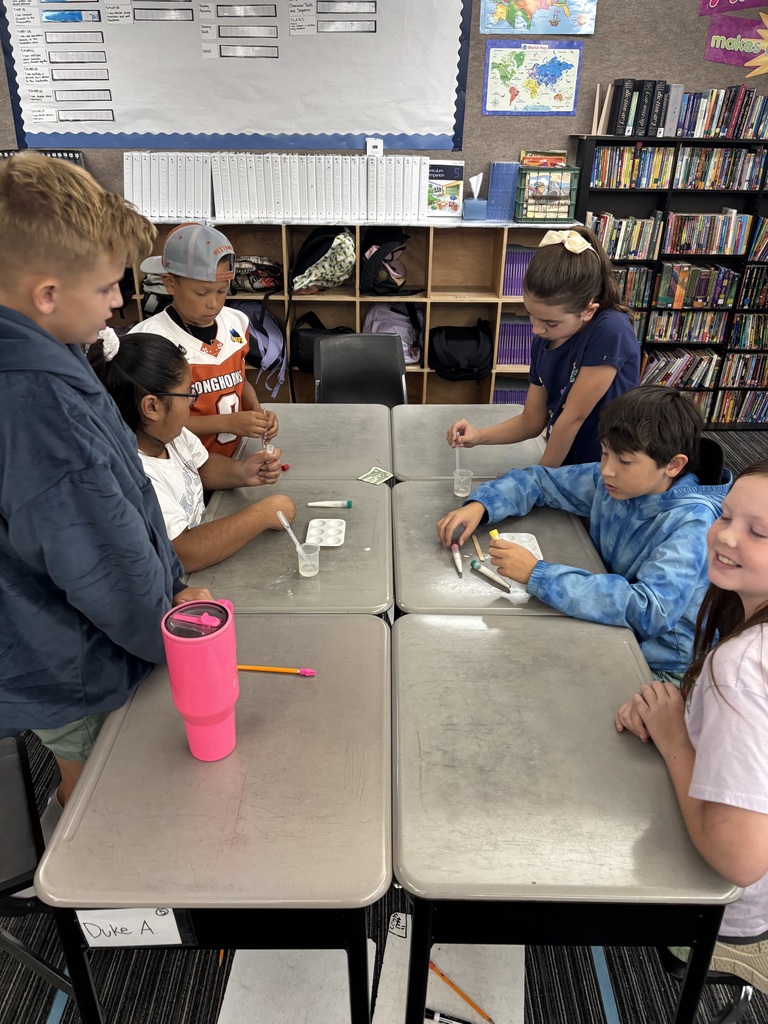 5th grade gateway experiment