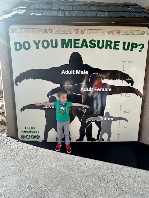 1st graders at the zoo