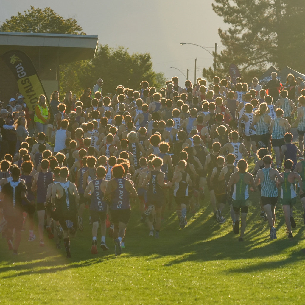 Cross country runners