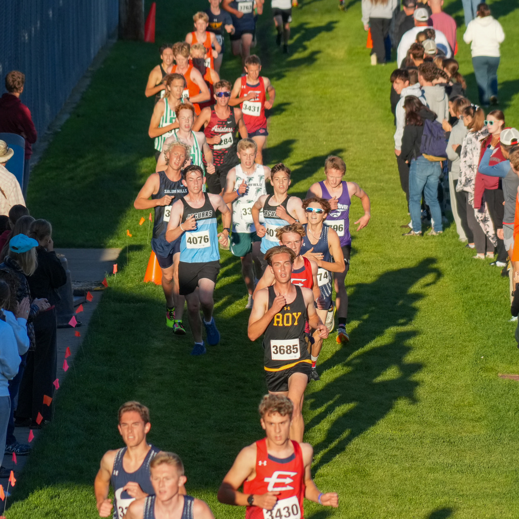 Cross country runners