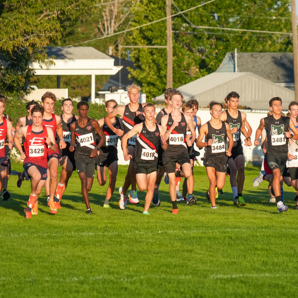 Cross country runners