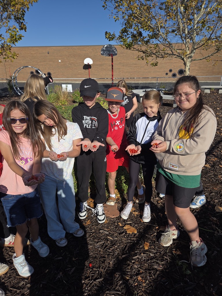 4th graders in the garden