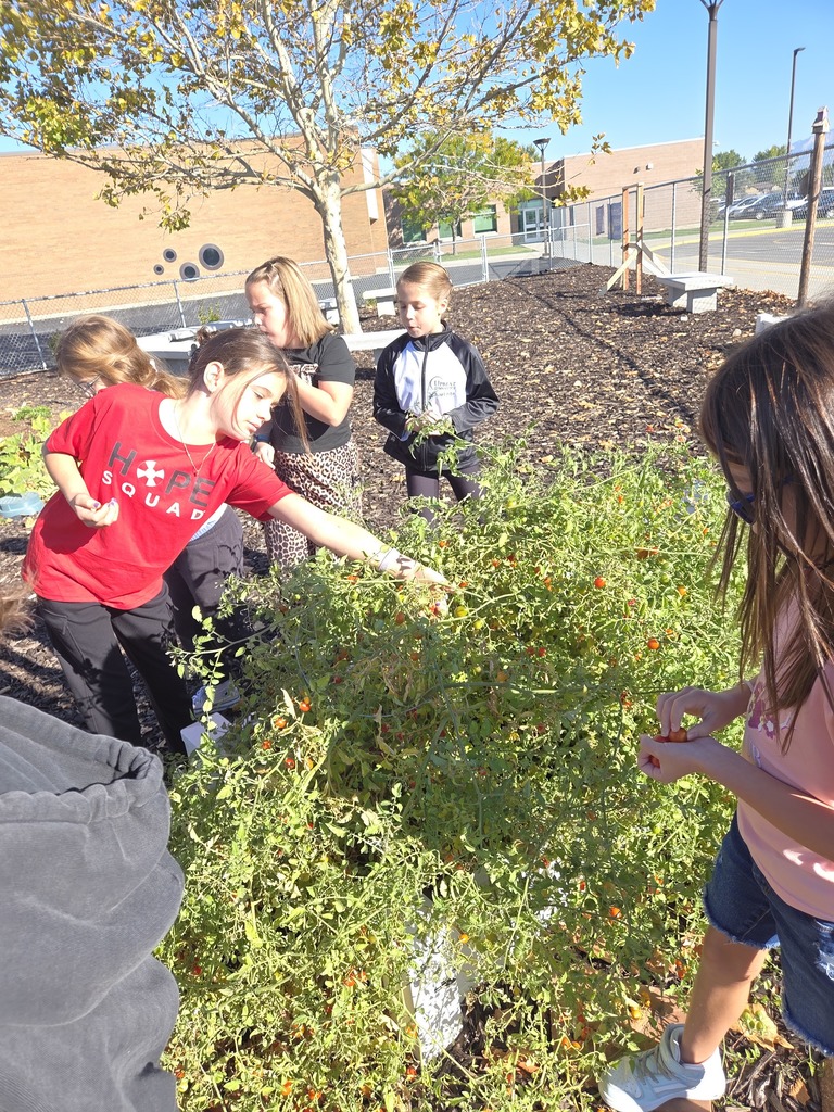 4th graders in the garden