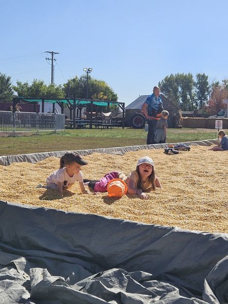 Kids playing in corn. 