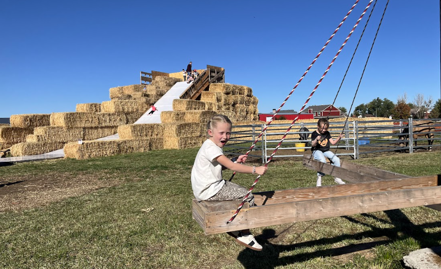 Student riding on rustic wooden swings,