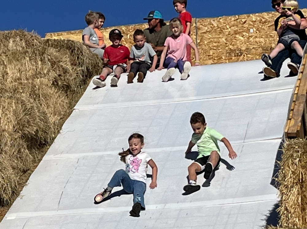 Students on slide.