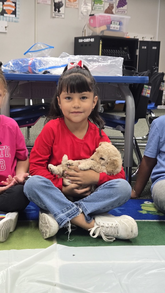 student holding puppies