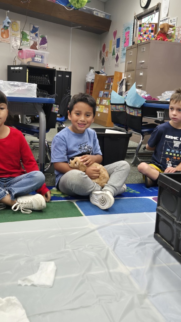 Kids holding puppies