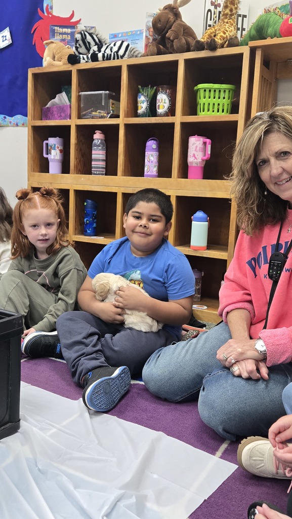 Kids and teachers holding puppies