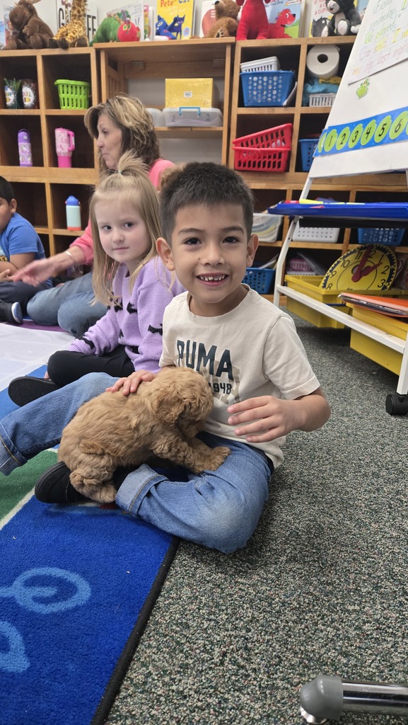 kids holding puppies