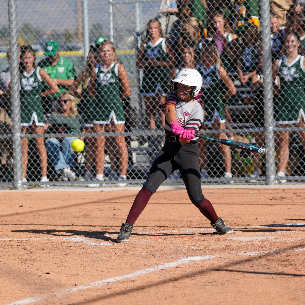 Girls softball players
