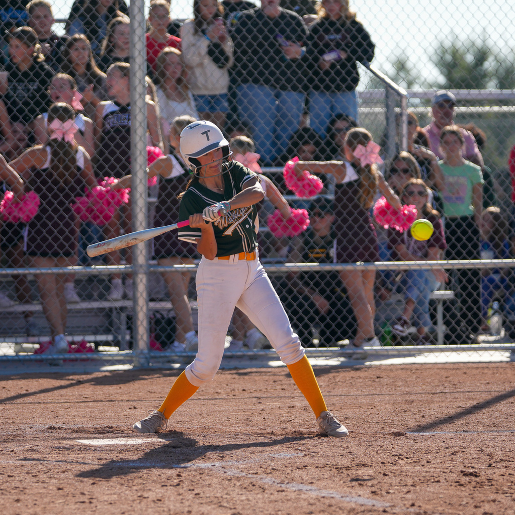 Girls softball players