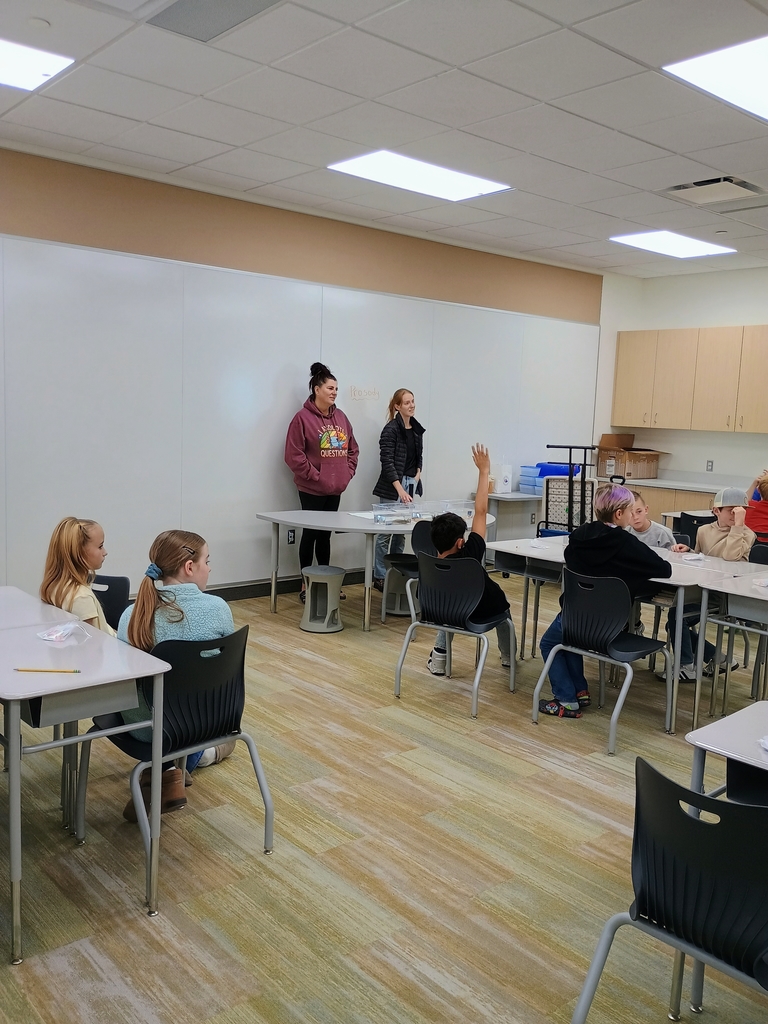 A classroom of elementary-aged students sitting at white tables. Two adult women stand in front of a whiteboard at the left, facing the class. One student in the middle raises his hand.