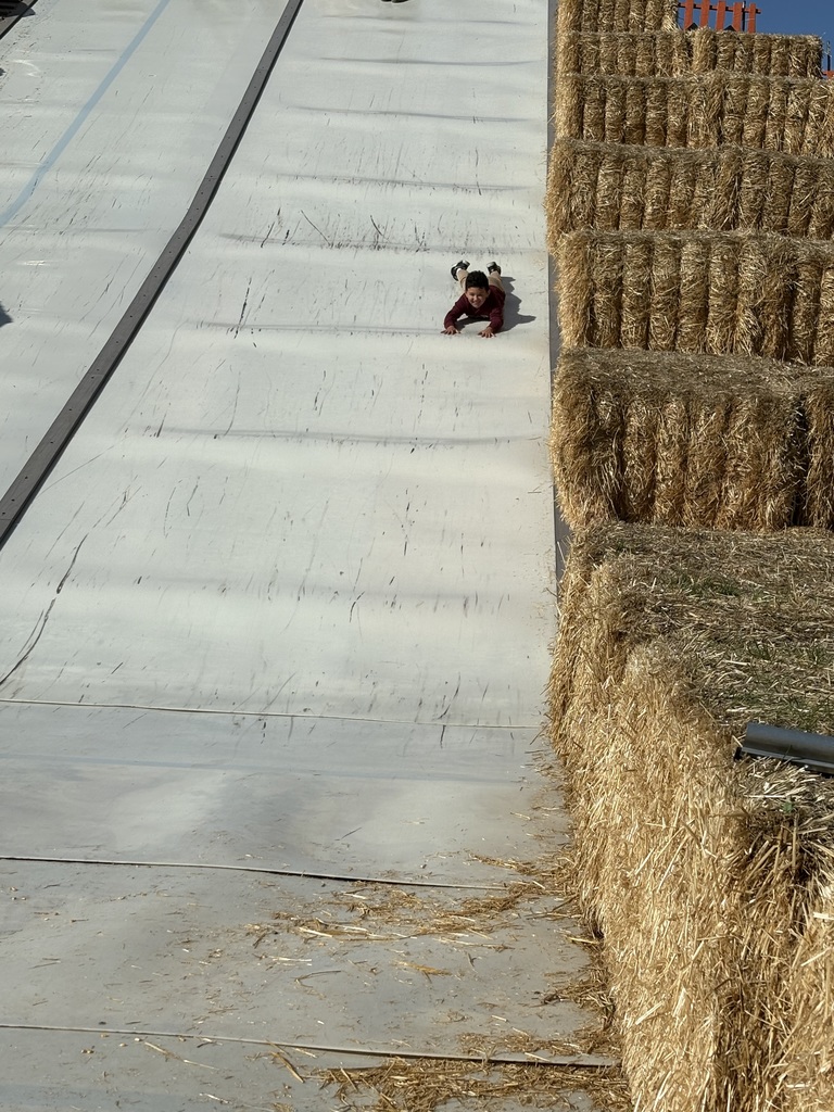 Mrs. Rehyani's students at Green Acre Farms field trip