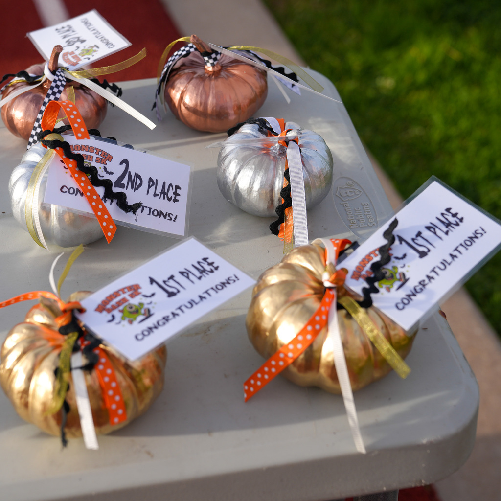 Monster dash trophies