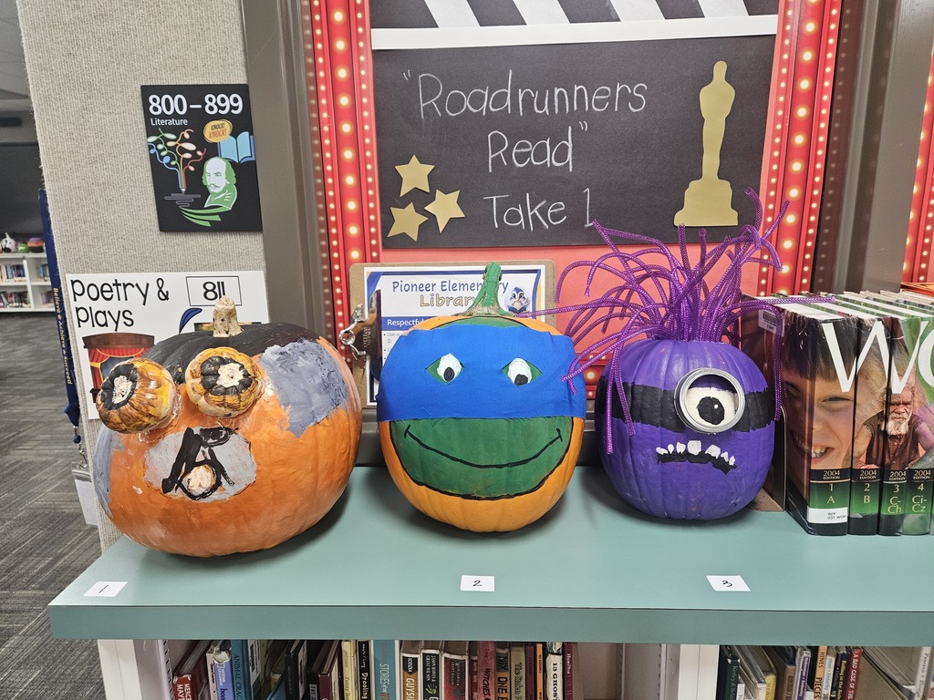 Decorated Pumpkins