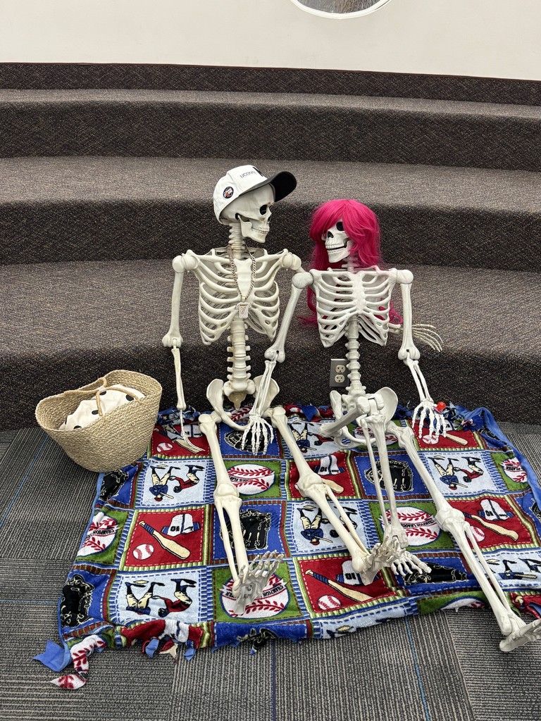 Bob bones and Skelly having a picnic in the kiva