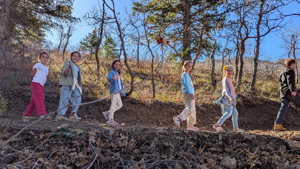 A line of elementary students walking single file along a wooded, dirt trail on a sunny day.