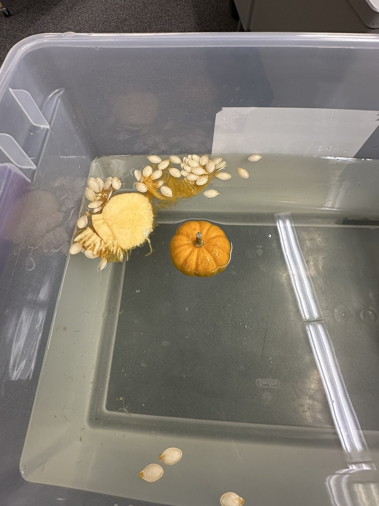 Floating pumpkins