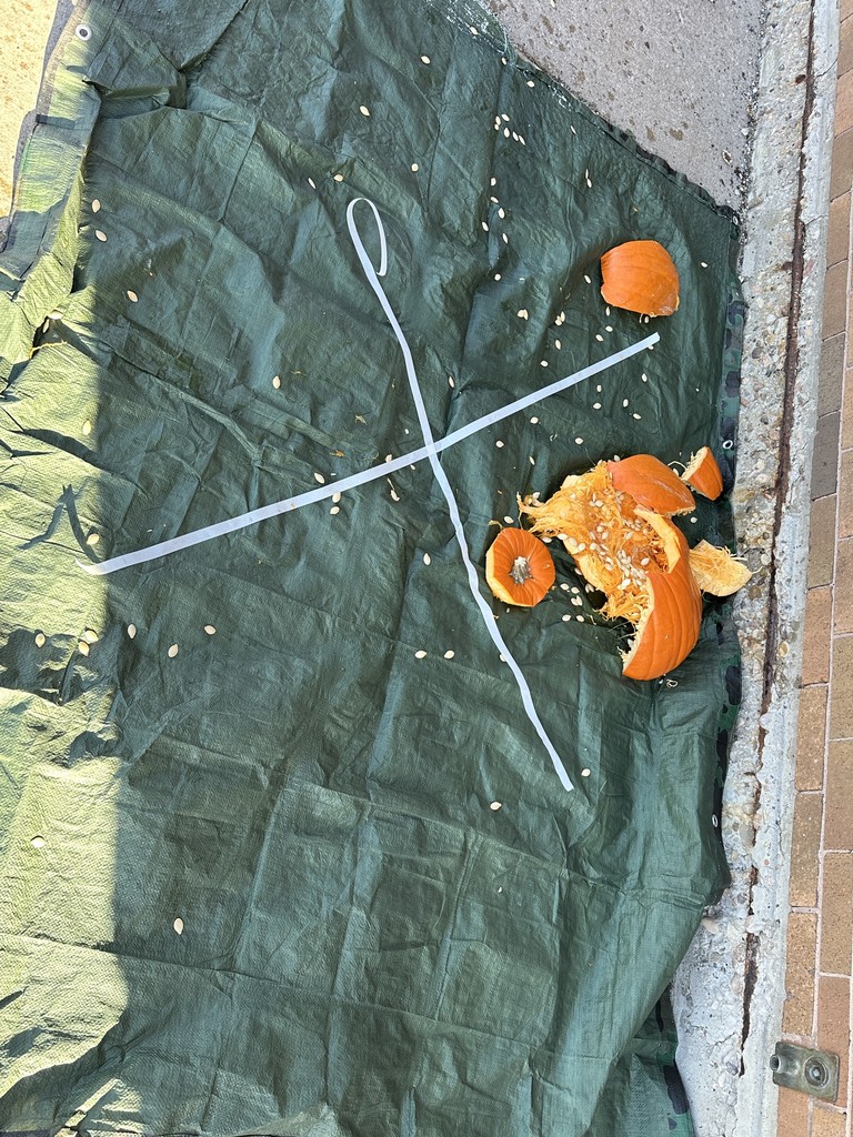 Pumpkin after being dropped from the roof. 