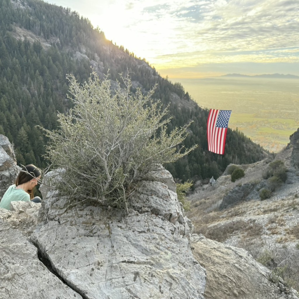 a picture of the flag hanging in the canyon
