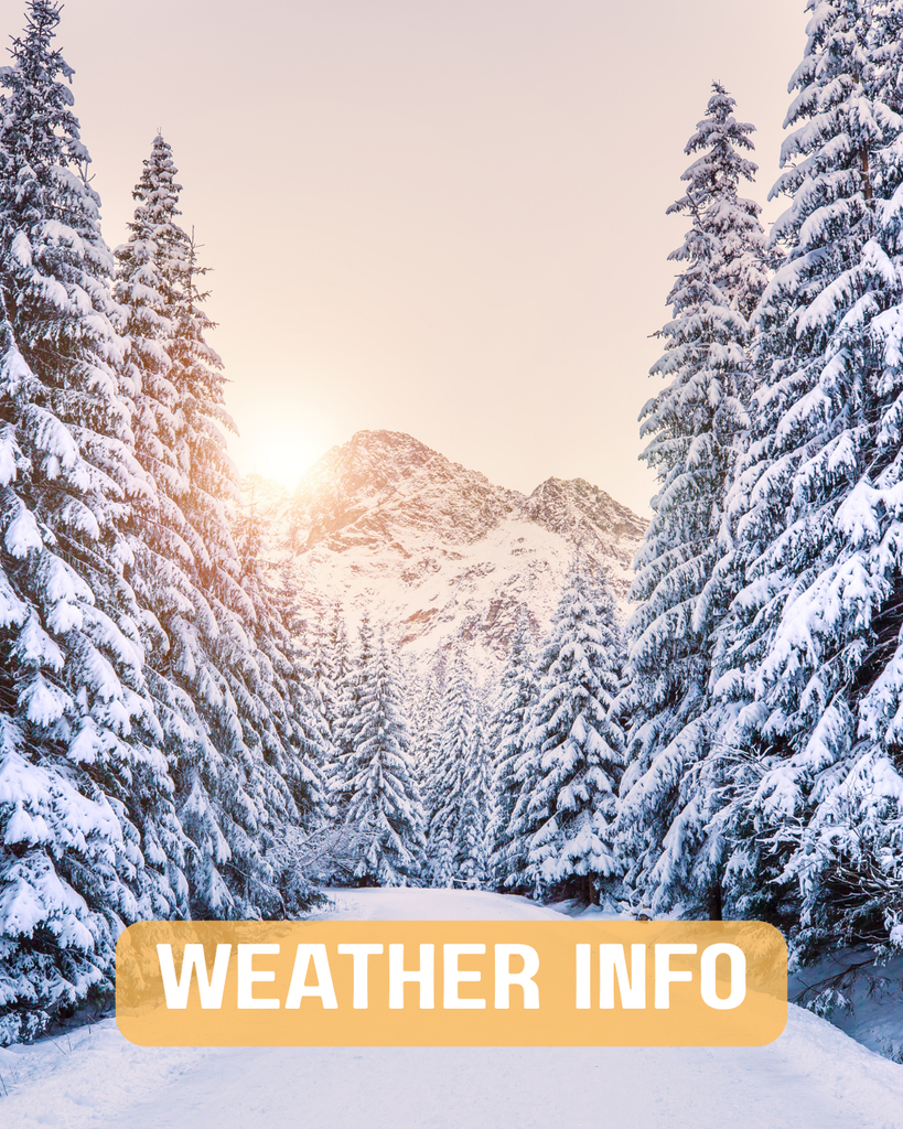 A banner image shows a snowy mountain landscape with tall pine trees covered in thick white snow. The sun shines brightly over the mountain peak in the background, creating a warm glow. In the foreground, a prominent orange-yellow speech bubble or banner with a triangular pattern reads "WEATHER INFO" in bold white letters.