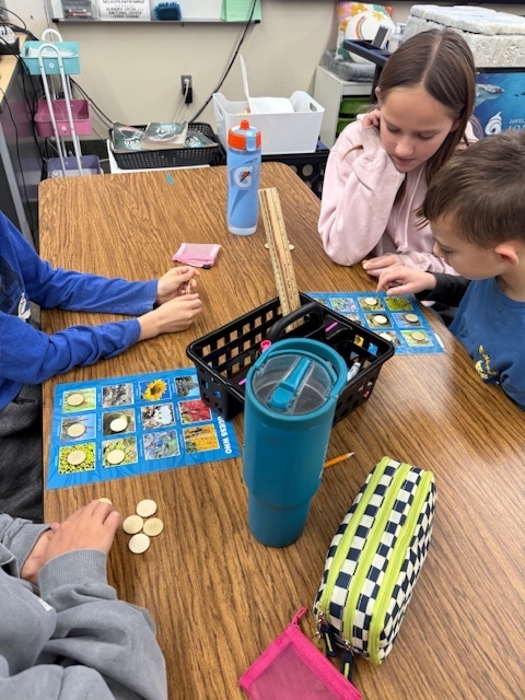 Kids classifying animals and organisms.