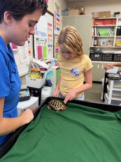 A girl touching the turtle and anothe girl looking on.