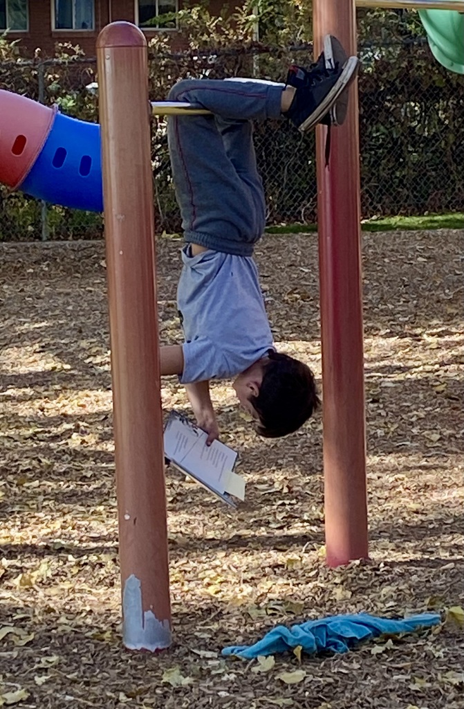A young boy, wearing a light blue shirt and gray pants, is hanging upside down by his knees from a metal bar on a playground. He is holding a small book and appears to be reading it intently while suspended. The ground is covered in leaves and wood chips. A blue piece of clothing is lying on the ground below him, and a colorful slide is visible on the left.
