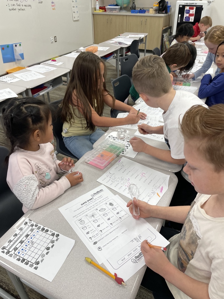 students looking through magnifying glasses and completing a worksheet