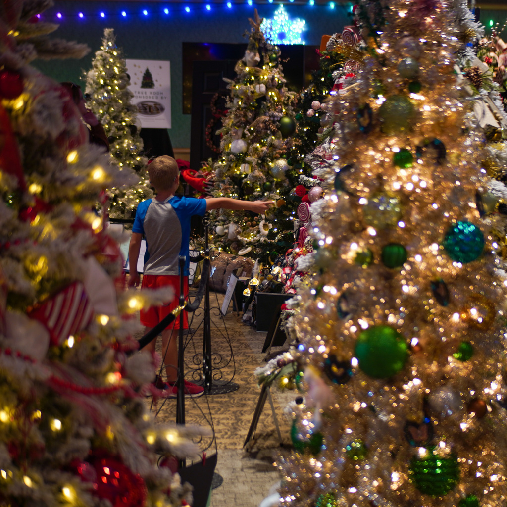 A boy points at a Christmas Tree