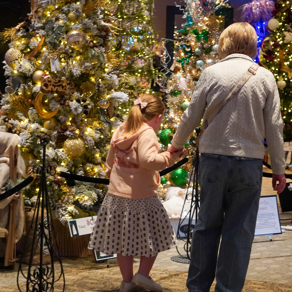 A young girl walks with an adult looking at  Christmas Trees