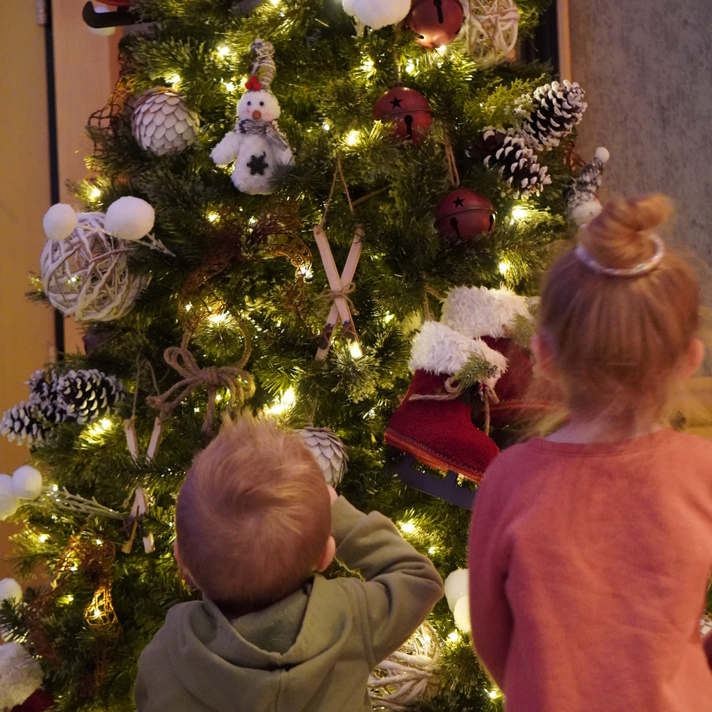 Two small children look at a Christmas Tree