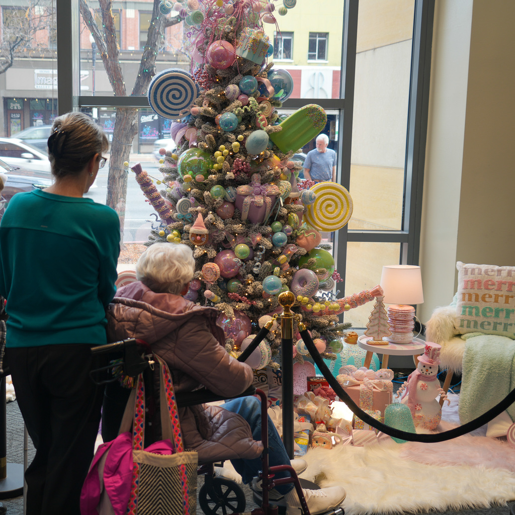 Christmas tree jubilee visitors