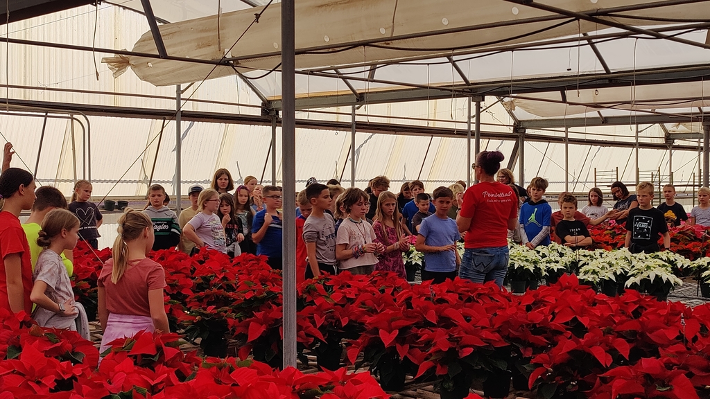 Fifth grade students of Bates Elementary in a green house surrounded by  red and white  poinsettia flowers.