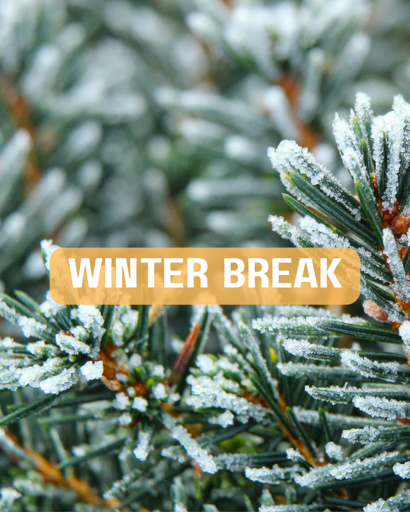 Decorative image of pine tree in the snow with caption "Winter Break"